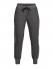 UNDER ARMOUR Брюки женские OTTOMAN FLEECE Артикул: 1321183