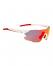 NORTHUG Спортивные очки SILVER PERFORMANCE Артикул: PN05041